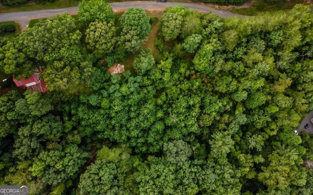 125 Laurel Hill Ln, Ellijay, GA 30536