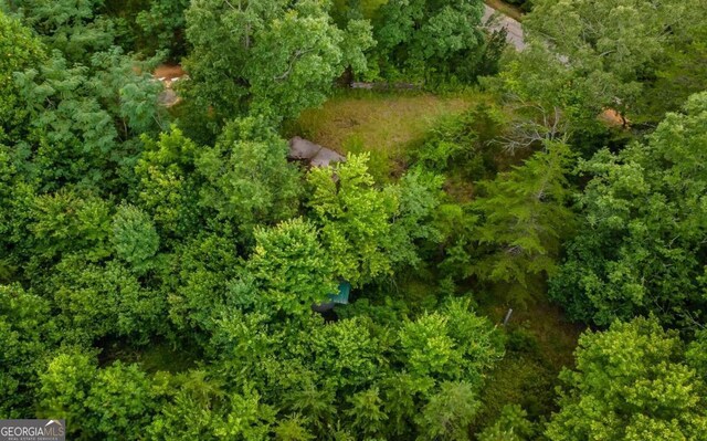 125 Laurel Hill Ln, Ellijay, GA 30536