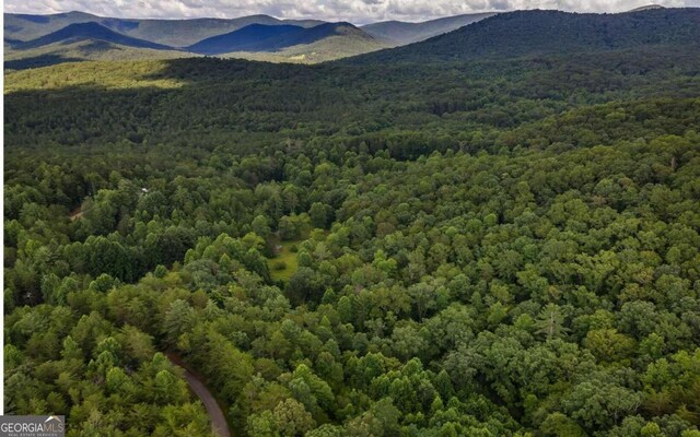125 Laurel Hill Ln, Ellijay, GA 30536