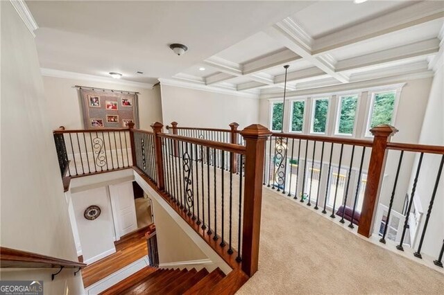 staircase with light hardwood / wood-style floors, a towering ceiling, and ornamental molding