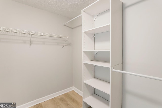 spacious closet featuring wood finished floors