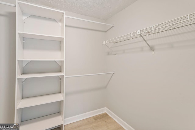 spacious closet featuring wood finished floors