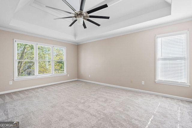 carpeted spare room featuring ornamental molding, ceiling fan, and a raised ceiling