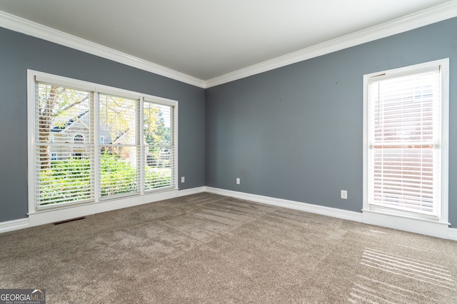 empty room with crown molding and carpet flooring