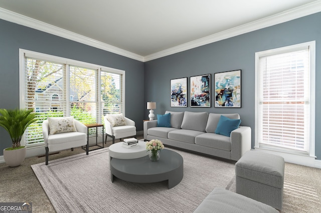 living room featuring crown molding and carpet flooring