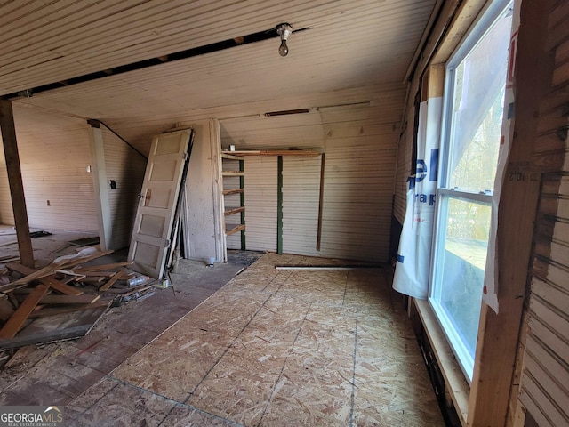 interior space with wooden walls