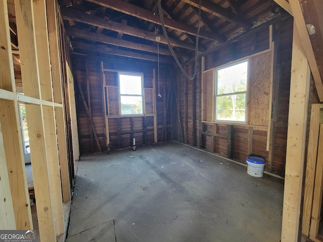 miscellaneous room with a wealth of natural light