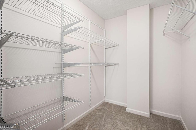 spacious closet with light carpet