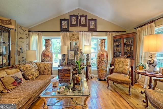 living room featuring vaulted ceiling and hardwood / wood-style floors