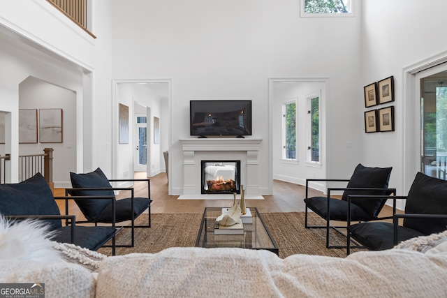 living room featuring wood-type flooring, a towering ceiling, and a healthy amount of sunlight