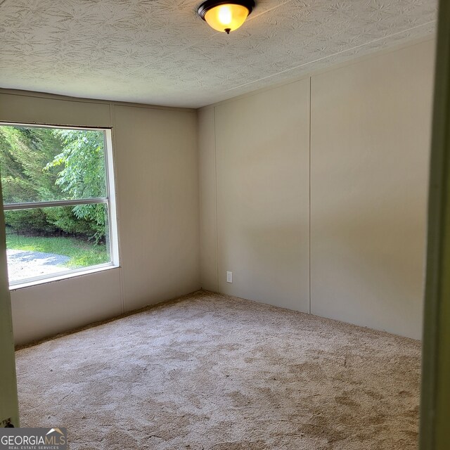 unfurnished room featuring carpet floors, plenty of natural light, and a textured ceiling