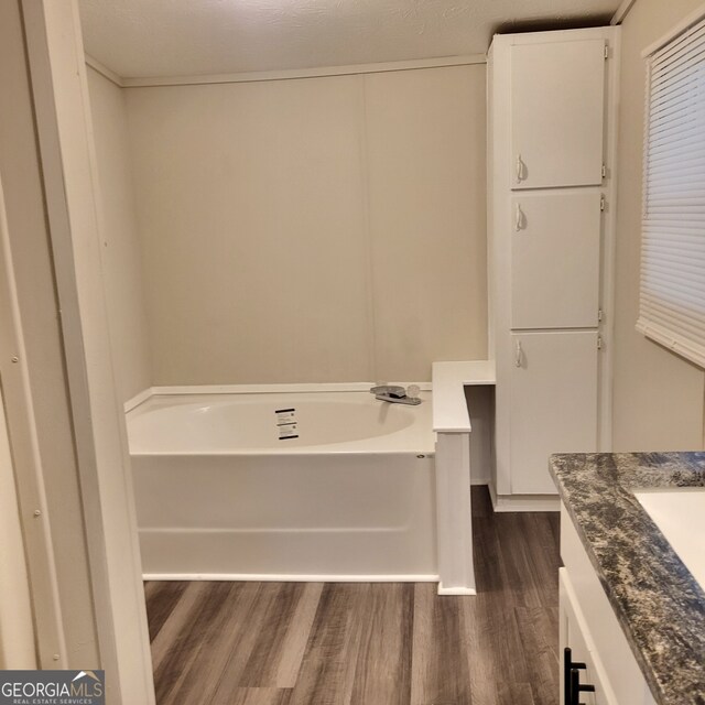 bathroom with wood finished floors, vanity, and a bath