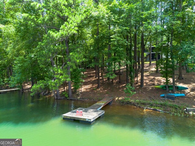 view of dock with a water view