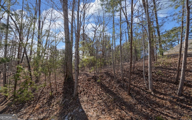 Listing photo 3 for 86 Edgewater Trl S, Toccoa GA 30577