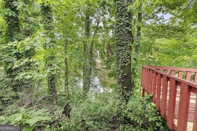 view of yard featuring a water view