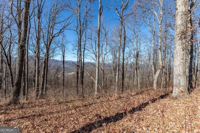 LT24 Rocky Knob Ests, Young Harris GA, 30582 land for sale