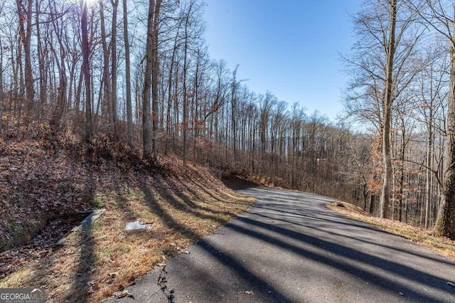 Listing photo 2 for LT24 Rocky Knob Ests, Young Harris GA 30582