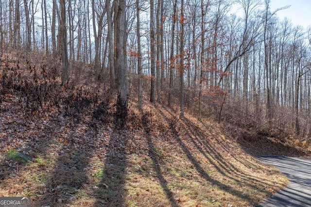 Listing photo 3 for LT24 Rocky Knob Ests, Young Harris GA 30582