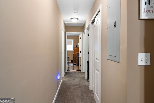 hallway featuring carpet