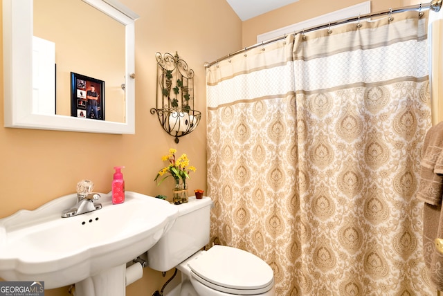 bathroom with toilet and sink