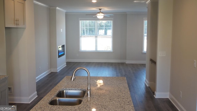 kitchen featuring light stone counters, ornamental molding, dark hardwood / wood-style flooring, and sink