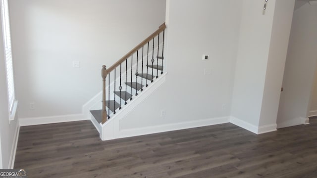 staircase with hardwood / wood-style flooring