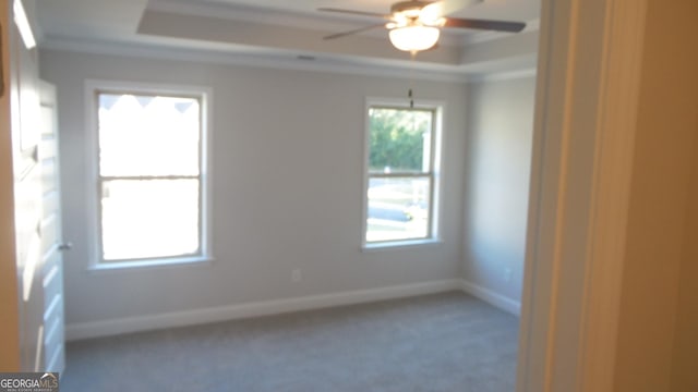 unfurnished room featuring crown molding, a raised ceiling, ceiling fan, and carpet