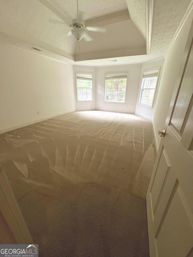 unfurnished room featuring a raised ceiling, carpet, and ceiling fan