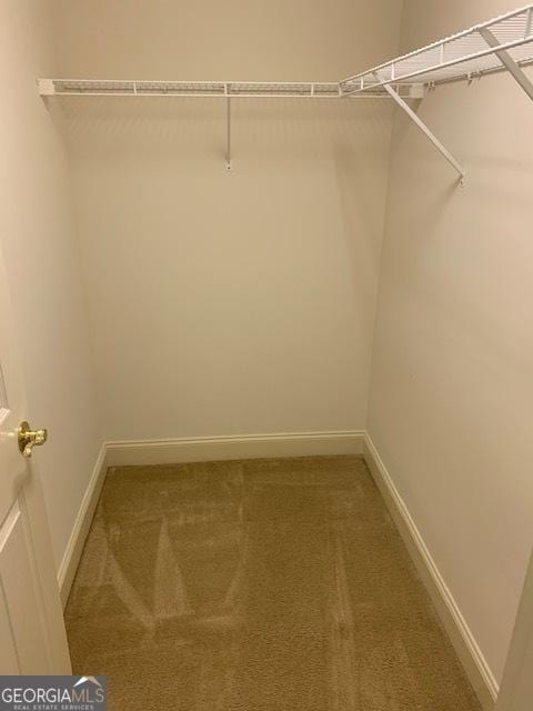 spacious closet with carpet flooring