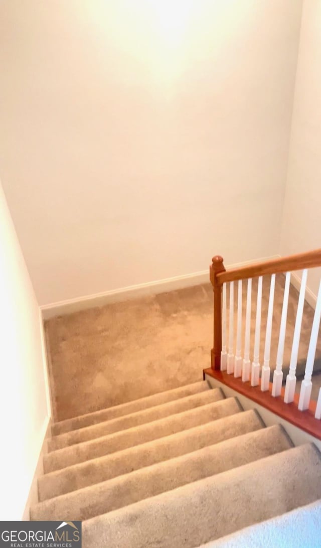 stairway with carpet floors