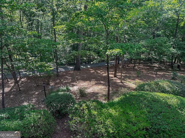 view of yard featuring a wooded view