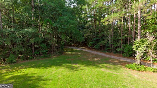 view of yard with a forest view and driveway