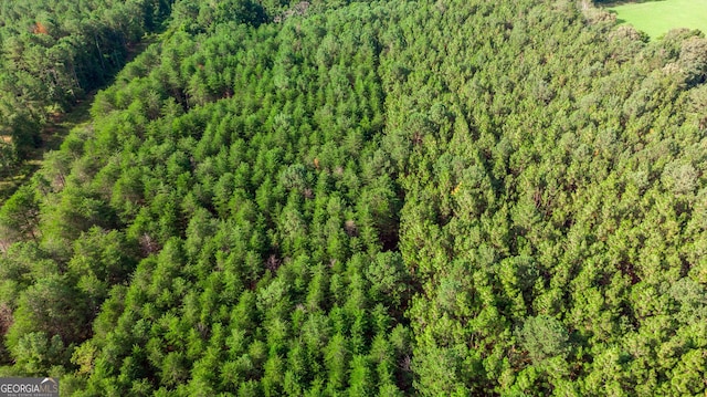 birds eye view of property featuring a forest view