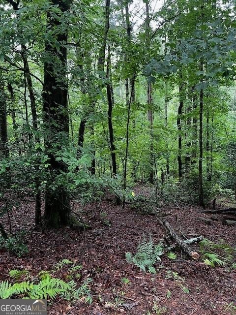 Listing photo 3 for LOT288 Etowah Dr, Ellijay GA 30540