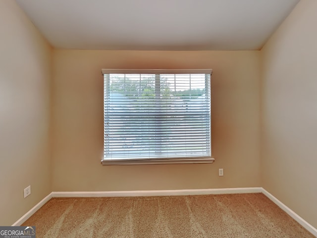 unfurnished room featuring carpet