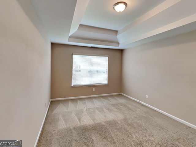 unfurnished room featuring light colored carpet and a raised ceiling