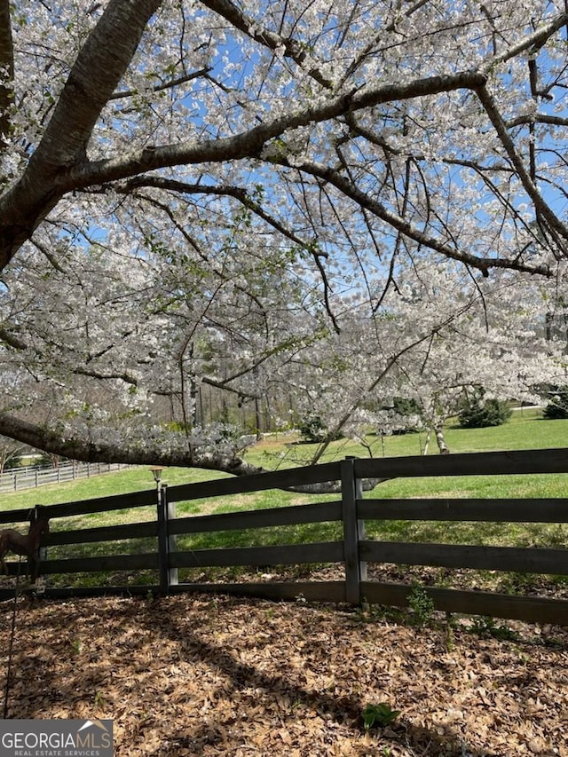 view of yard featuring a rural view