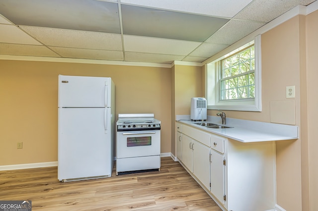 kitchen featuring white appliances, a paneled ceiling, sink, white cabinetry, and light hardwood / wood-style floors