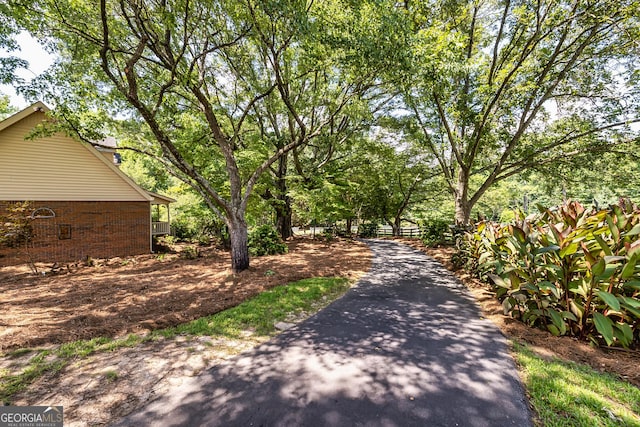 view of road with aphalt driveway