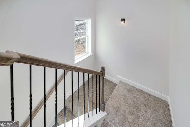 stairway with carpet floors