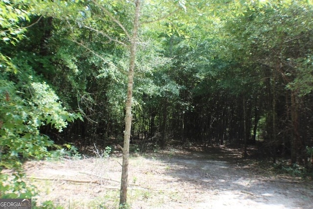 Listing photo 3 for 0 Thundering Springs Rd, East Dublin GA 31027