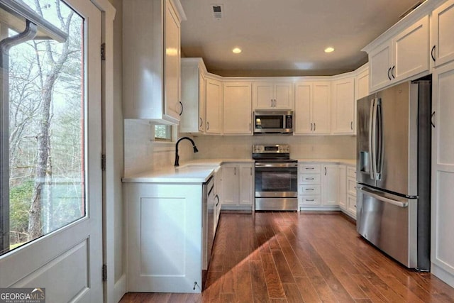 kitchen with white cabinets, dark hardwood / wood-style flooring, appliances with stainless steel finishes, and a wealth of natural light