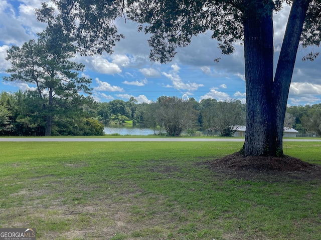 view of yard with a water view