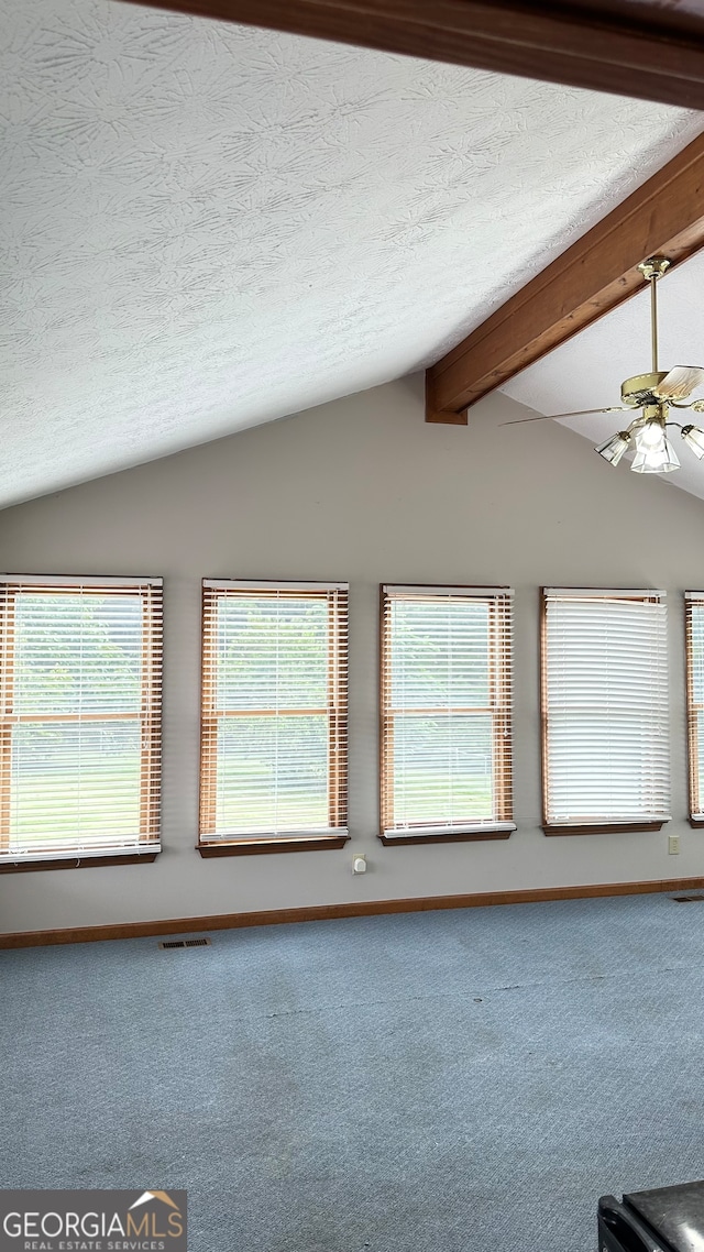 interior space featuring ceiling fan, a wealth of natural light, and carpet