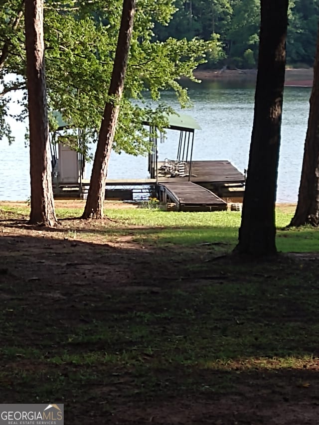 dock area with a water view