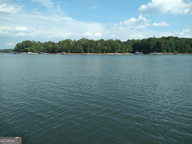 view of water feature