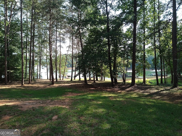 view of yard with a water view