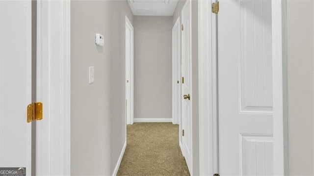 corridor with light colored carpet