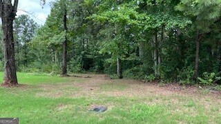 1114 E Shoreview Rd, Mcdonough GA, 30253 land for sale