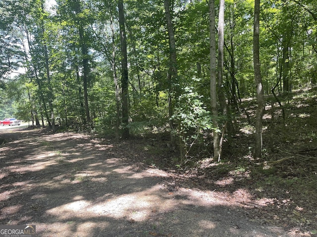 00 White Oak, Summerville GA, 30747 land for sale